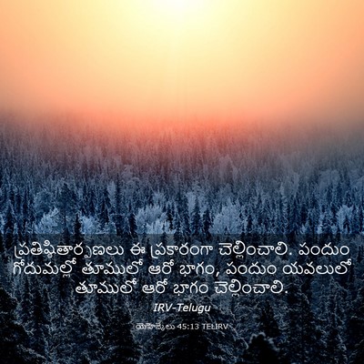 Picture 03 - యెహెజ్కేలు 45:13 TELIRV -  - Bible Verse Picture