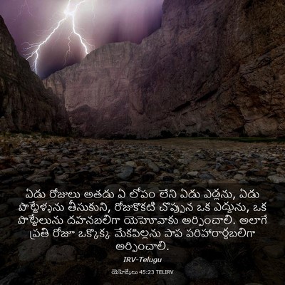 Picture 03 - యెహెజ్కేలు 45:23 TELIRV - ఏడు రోజులు అతడు ఏ - Bible Verse Picture