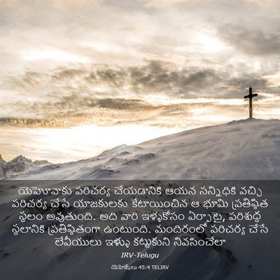 Picture 03 - యెహెజ్కేలు 45:4 TELIRV - యెహోవాకు పరిచర్య - Bible Verse Picture