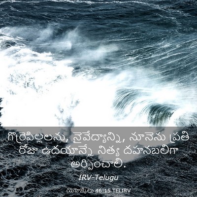 Picture 03 - యెహెజ్కేలు 46:15 TELIRV - గొర్రెపిల్లలను, - Bible Verse Picture