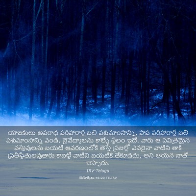 Picture 03 - యెహెజ్కేలు 46:20 TELIRV - యాజకులు అపరాధ - Bible Verse Picture