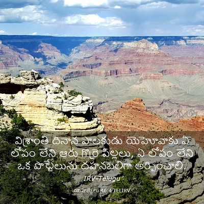 Picture 03 - యెహెజ్కేలు 46:4 TELIRV - విశ్రాంతి దినాన - Bible Verse Picture