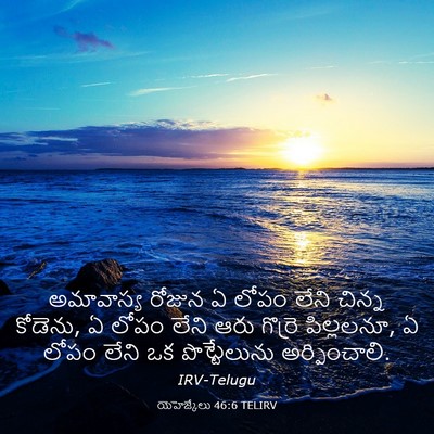 Picture 03 - యెహెజ్కేలు 46:6 TELIRV - అమావాస్య రోజున ఏ - Bible Verse Picture