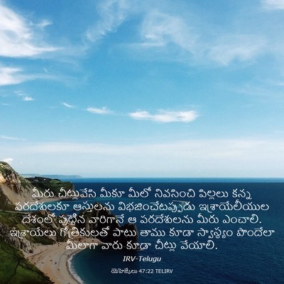 Picture 03 - యెహెజ్కేలు 47:22 TELIRV - మీరు చీట్లువేసి - Bible Verse Picture