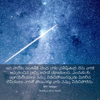 Picture 03 - యెహెజ్కేలు 48:11 TELIRV - ఇది సాదోకు - Bible Verse Picture