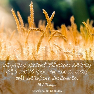 Picture 03 - యెహెజ్కేలు 48:12 TELIRV - పవిత్రమైన భూమిలో - Bible Verse Picture