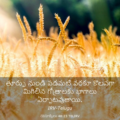 Picture 03 - యెహెజ్కేలు 48:23 TELIRV - తూర్పు నుండి - Bible Verse Picture