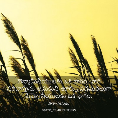 Picture 03 - యెహెజ్కేలు 48:24 TELIRV - బెన్యామీనీయులకు - Bible Verse Picture