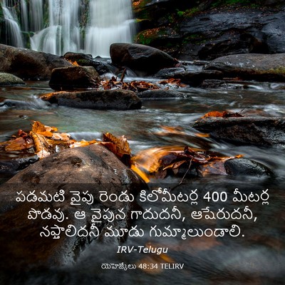 Picture 03 - యెహెజ్కేలు 48:34 TELIRV - పడమటి వైపు రెండు - Bible Verse Picture