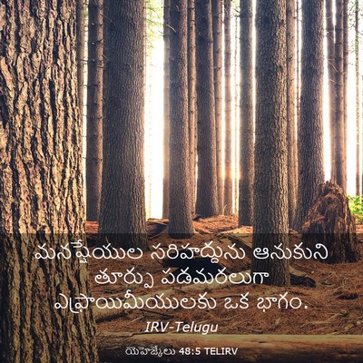 Picture 03 - యెహెజ్కేలు 48:5 TELIRV - మనష్షేయుల - Bible Verse Picture