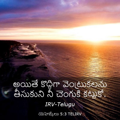 Picture 03 - యెహెజ్కేలు 5:3 TELIRV - అయితే కొద్దిగా - Bible Verse Picture