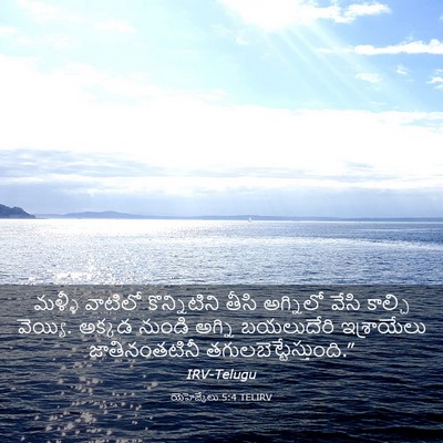 Picture 03 - యెహెజ్కేలు 5:4 TELIRV - మళ్ళీ వాటిలో - Bible Verse Picture