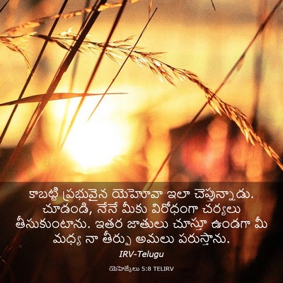 Picture 03 - యెహెజ్కేలు 5:8 TELIRV - కాబట్టి ప్రభువైన - Bible Verse Picture