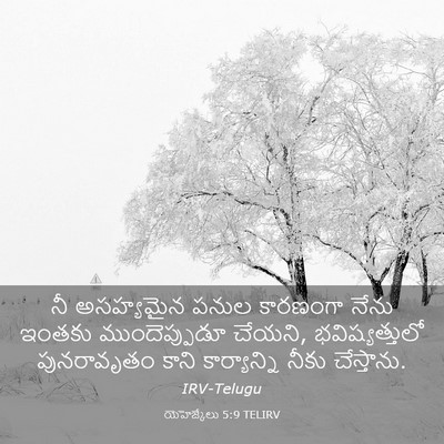 Picture 03 - యెహెజ్కేలు 5:9 TELIRV - నీ అసహ్యమైన పనుల - Bible Verse Picture