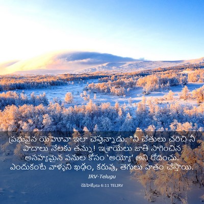 Picture 03 - యెహెజ్కేలు 6:11 TELIRV - ప్రభువైన యెహోవా - Bible Verse Picture