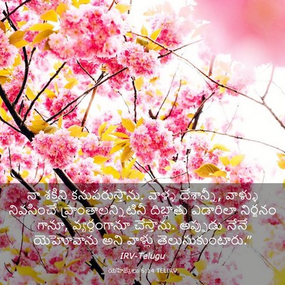 Picture 03 - యెహెజ్కేలు 6:14 TELIRV - నా శక్తిని - Bible Verse Picture