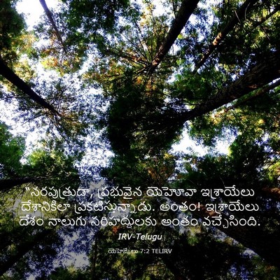 Picture 03 - యెహెజ్కేలు 7:2 TELIRV - “నరపుత్రుడా, - Bible Verse Picture
