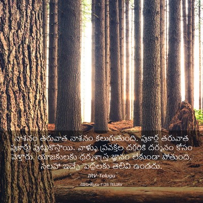 Picture 03 - యెహెజ్కేలు 7:26 TELIRV - నాశనం తరువాత - Bible Verse Picture