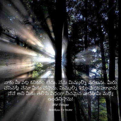 Picture 03 - యెహెజ్కేలు 7:9 TELIRV - నాకు మీ పట్ల - Bible Verse Picture