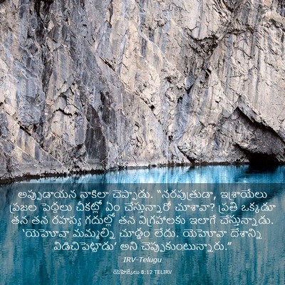Picture 03 - యెహెజ్కేలు 8:12 TELIRV - అప్పుడాయన నాకిలా - Bible Verse Picture
