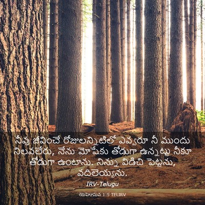 Picture 03 - యెహోషువ 1:5 TELIRV - నీవు జీవించే - Bible Verse Picture