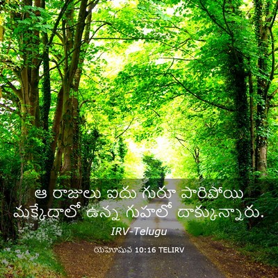 Picture 03 - యెహోషువ 10:16 TELIRV - ఆ రాజులు ఐదు గురూ - Bible Verse Picture