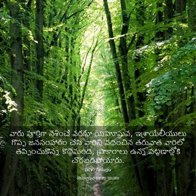 Picture 03 - యెహోషువ 10:20 TELIRV - వారు పూర్తిగా - Bible Verse Picture