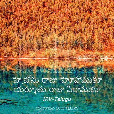 Picture 03 - యెహోషువ 10:3 TELIRV - హెబ్రోను రాజు - Bible Verse Picture