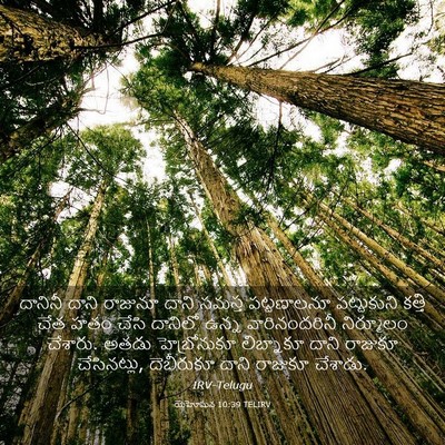 Picture 03 - యెహోషువ 10:39 TELIRV - దానినీ దాని - Bible Verse Picture