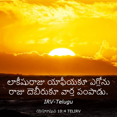 Picture 03 - యెహోషువ 10:4 TELIRV - లాకీషురాజు - Bible Verse Picture