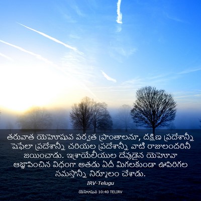 Picture 03 - యెహోషువ 10:40 TELIRV - తరువాత యెహోషువ - Bible Verse Picture
