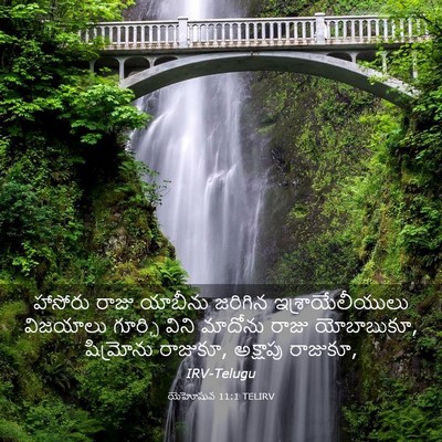 Picture 03 - యెహోషువ 11:1 TELIRV - హాసోరు రాజు - Bible Verse Picture