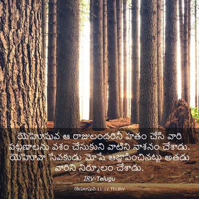 Picture 03 - యెహోషువ 11:12 TELIRV - యెహోషువ ఆ - Bible Verse Picture