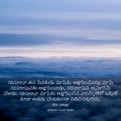 Picture 03 - యెహోషువ 11:15 TELIRV - యెహోవా తన సేవకుడు - Bible Verse Picture