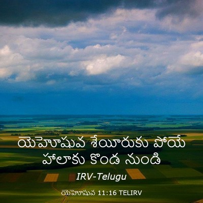Picture 03 - యెహోషువ 11:16 TELIRV - యెహోషువ శేయీరుకు - Bible Verse Picture