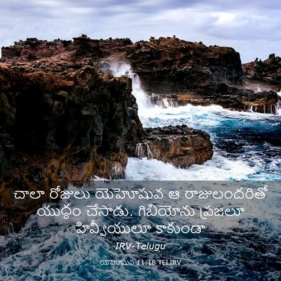 Picture 03 - యెహోషువ 11:18 TELIRV - చాలా రోజులు - Bible Verse Picture
