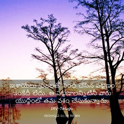 Picture 03 - యెహోషువ 11:19 TELIRV - ఇశ్రాయేలు ప్రజలతో - Bible Verse Picture