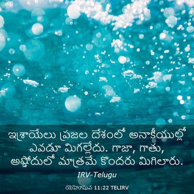 Picture 03 - యెహోషువ 11:22 TELIRV - ఇశ్రాయేలు ప్రజల - Bible Verse Picture