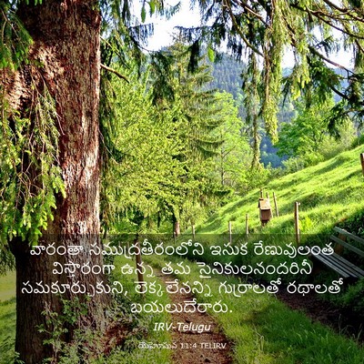 Picture 03 - యెహోషువ 11:4 TELIRV - వారంతా - Bible Verse Picture