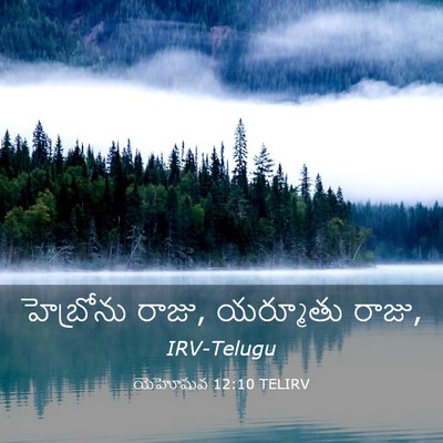 Picture 03 - యెహోషువ 12:10 TELIRV - హెబ్రోను రాజు, - Bible Verse Picture