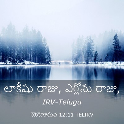 Picture 03 - యెహోషువ 12:11 TELIRV - లాకీషు రాజు, - Bible Verse Picture