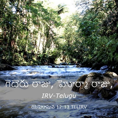 Picture 03 - యెహోషువ 12:13 TELIRV - గెదెరు రాజు, - Bible Verse Picture
