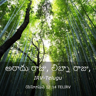 Picture 03 - యెహోషువ 12:14 TELIRV - అరాదు రాజు, లిబ్నా - Bible Verse Picture