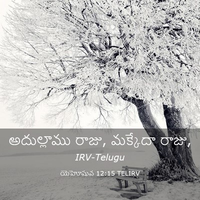 Picture 03 - యెహోషువ 12:15 TELIRV - అదుల్లాము రాజు, - Bible Verse Picture