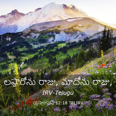 Picture 03 - యెహోషువ 12:18 TELIRV - లష్షారోను రాజు, - Bible Verse Picture