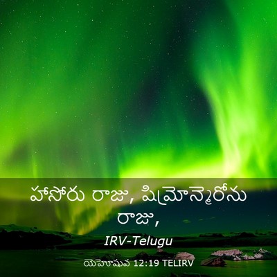 Picture 03 - యెహోషువ 12:19 TELIRV - హాసోరు రాజు, - Bible Verse Picture