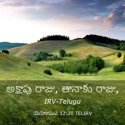 Picture 03 - యెహోషువ 12:20 TELIRV - అక్షాపు రాజు, - Bible Verse Picture