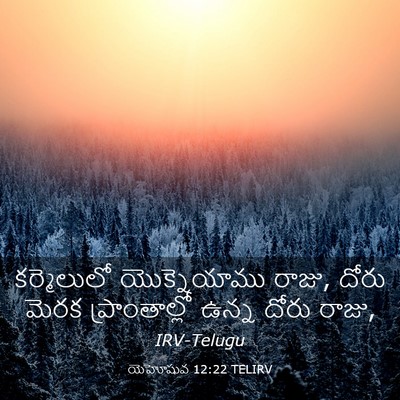 Picture 03 - యెహోషువ 12:22 TELIRV - కర్మెలులో - Bible Verse Picture
