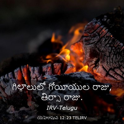 Picture 03 - యెహోషువ 12:23 TELIRV - గిల్గాలులో - Bible Verse Picture