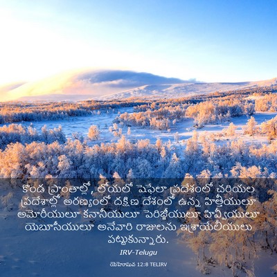 Picture 03 - యెహోషువ 12:8 TELIRV - కొండ ప్రాంతాల్లో, - Bible Verse Picture